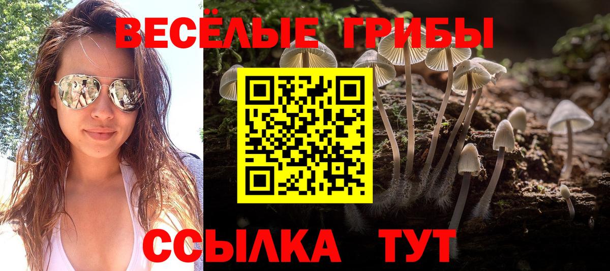 Псилоцибиновые грибы мухоморы Павловский Посад
